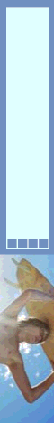 Bido Domain Name Auctions